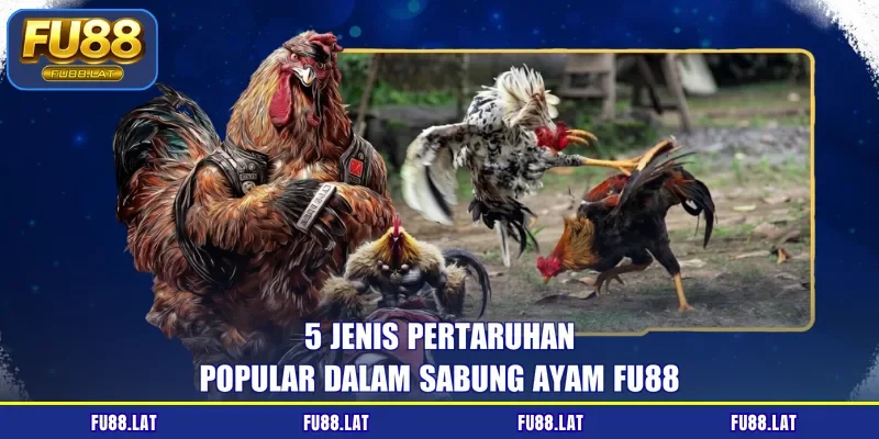 5 jenis pertaruhan popular dalam sabung ayam FU88